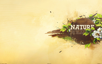 在线网页使用电话轰炸机